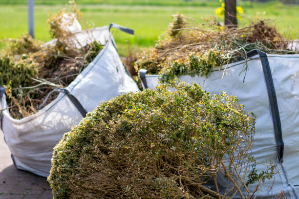 Best Mattress Removal Service  in Pembroke, GA